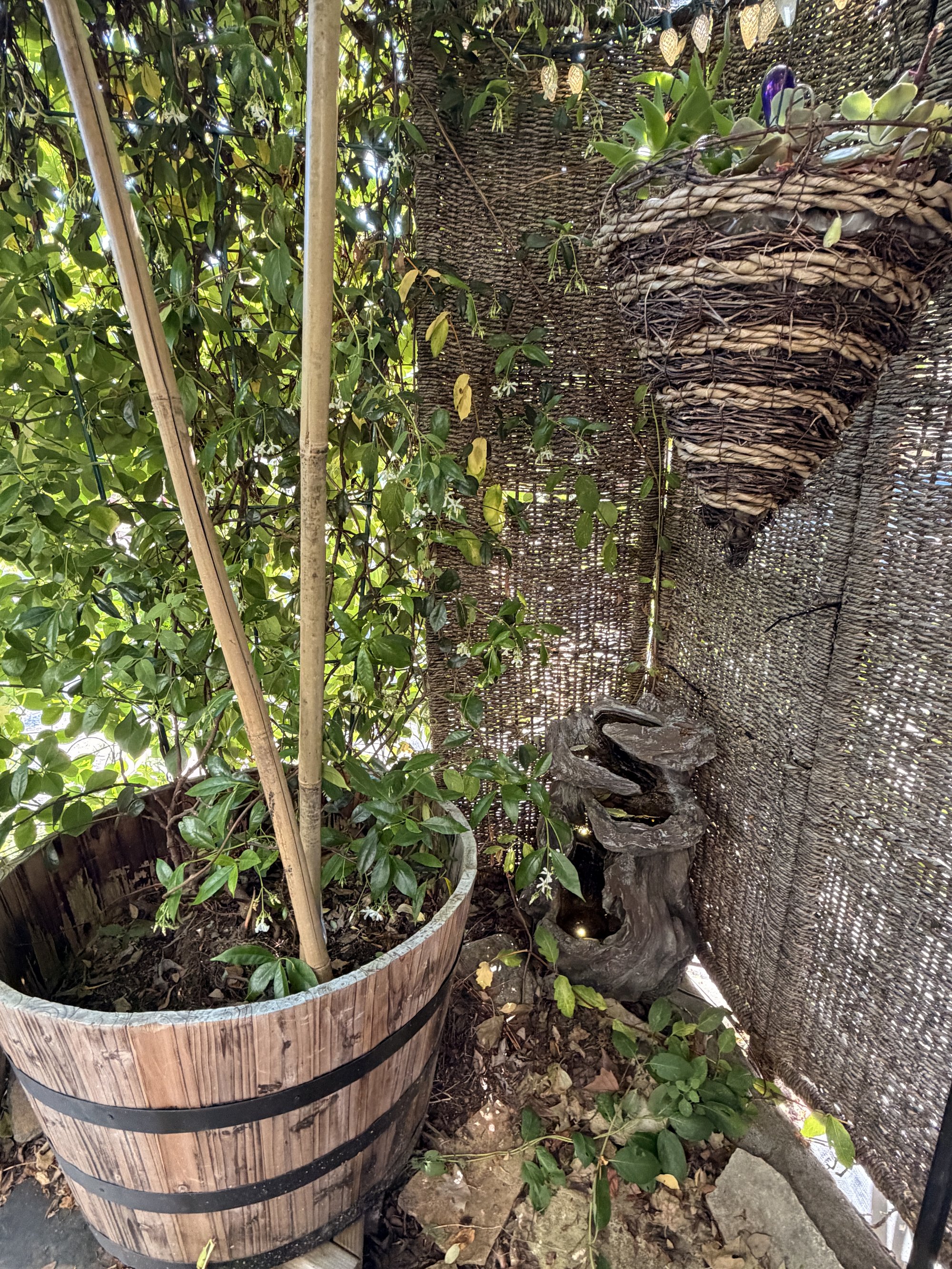 Wooden barrel water feature with bamboo poles and dense ivy, in a quiet corner of the garden.