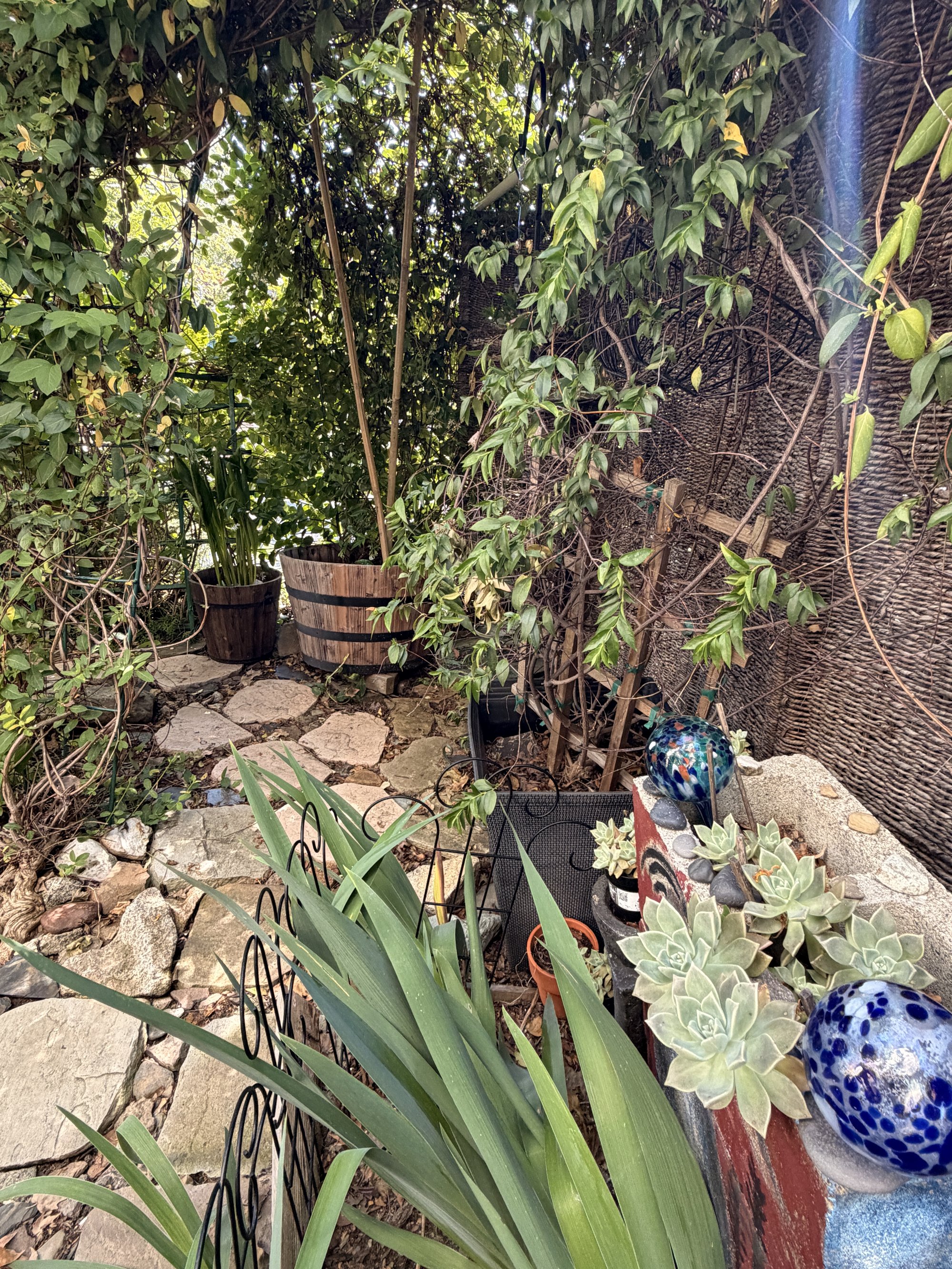 Blue glass mosaic ornament hung on a tree branch above succulents and a woven thatched fence.
