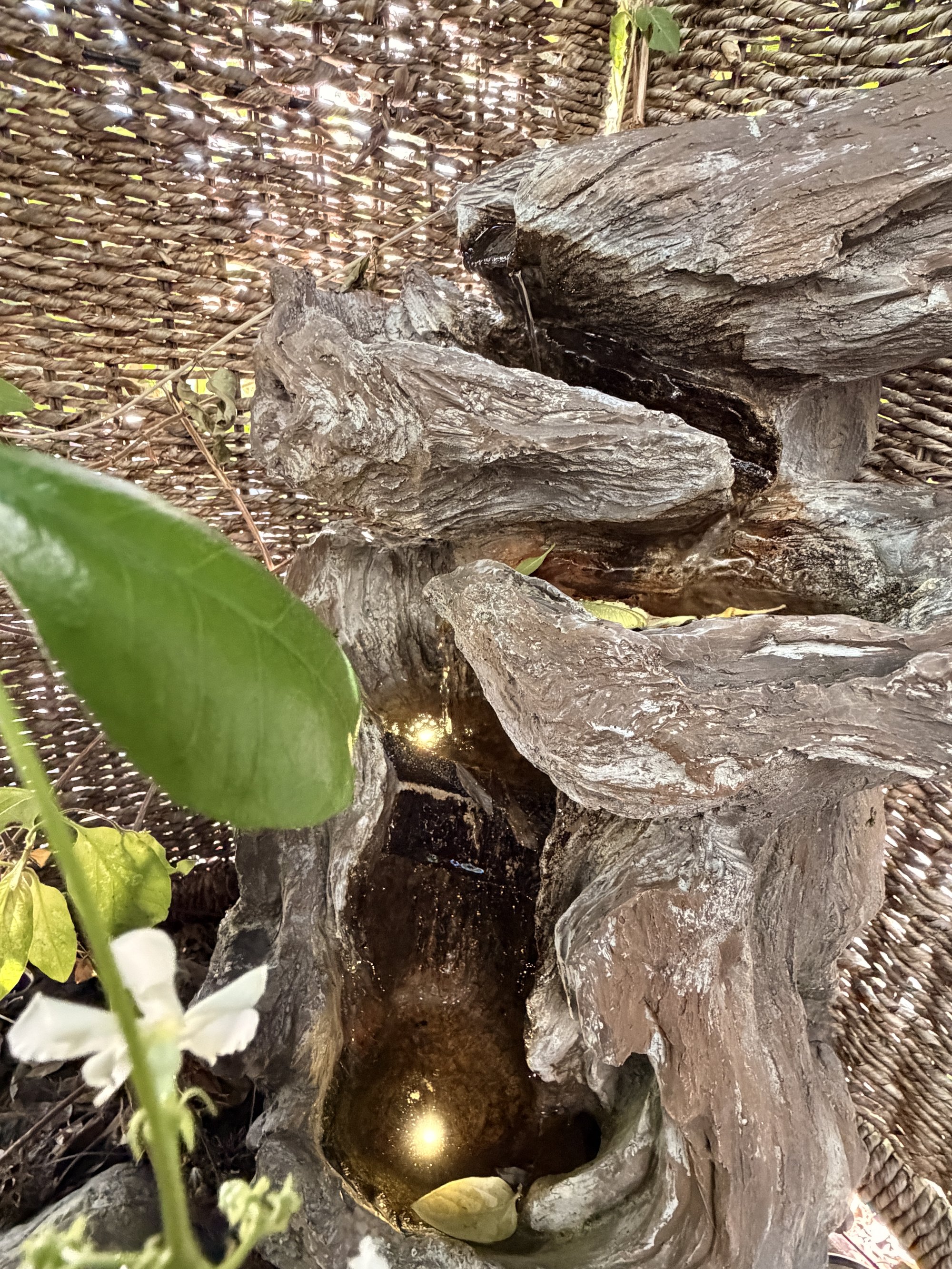 Carved wooden meditation sculpture with two golden orbs nested inside, set against woven bamboo and white flowers.