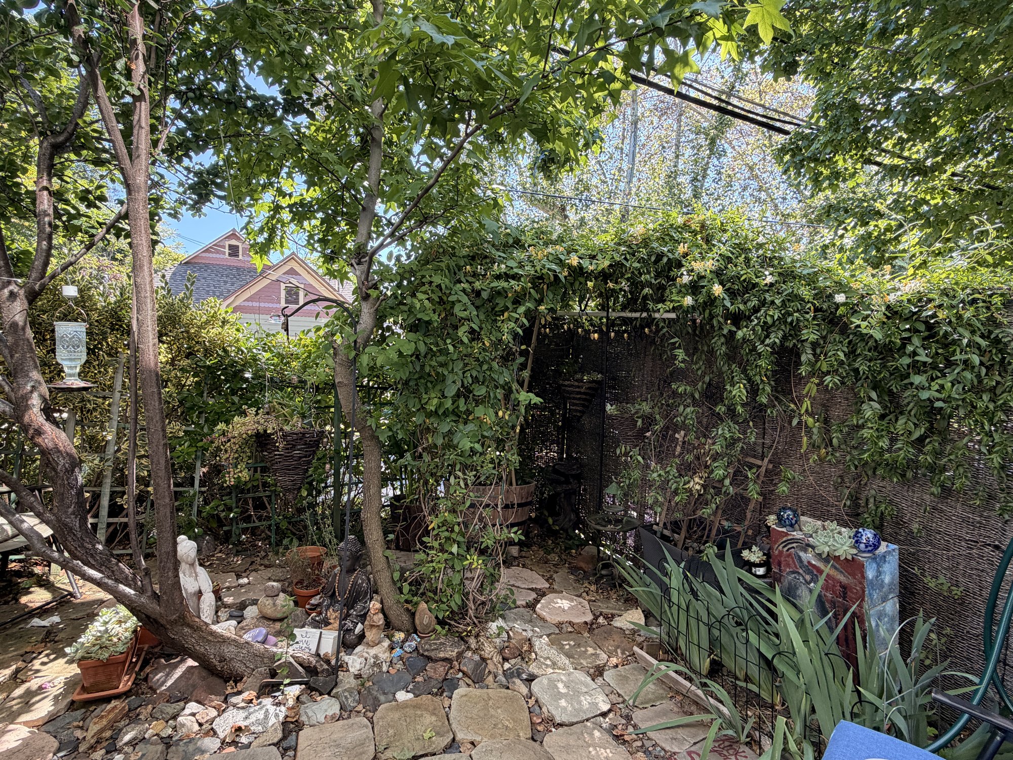 Bamboo arched trellis with climbing greenery, woven fence panels, stone pavers leading toward a pink house.